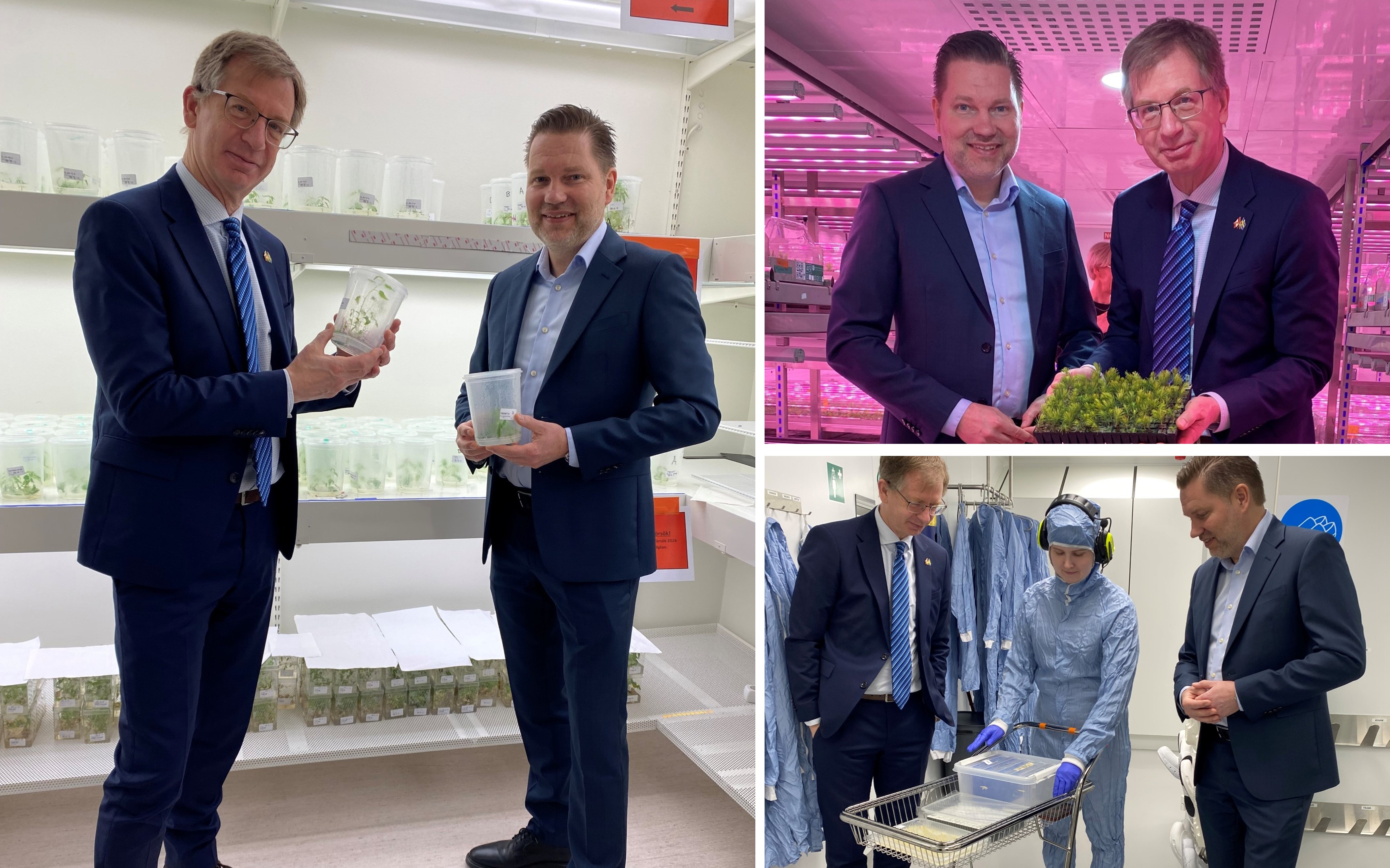 Canada's ambassador Robert Sinclair visiting SweTree and SE pilot plant